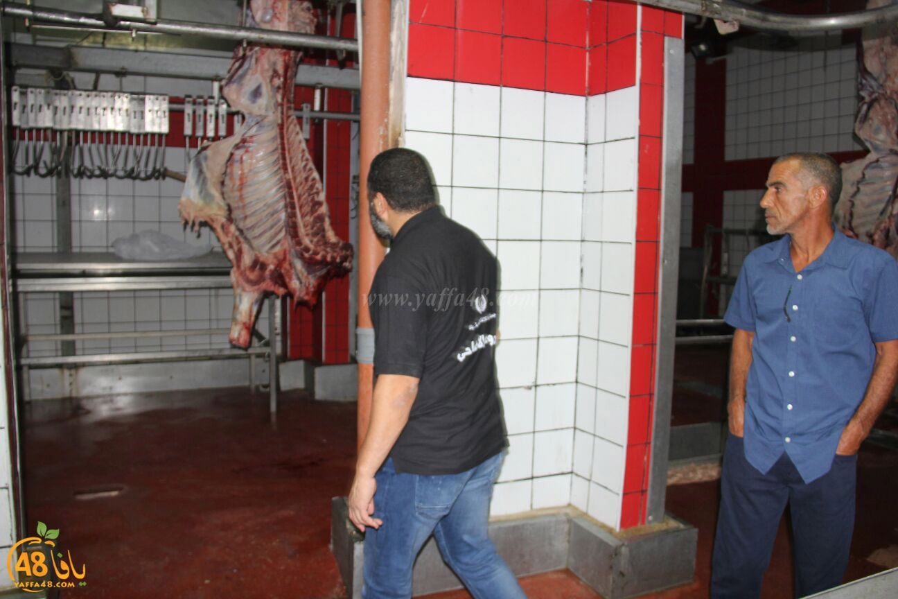 jam3iya yaffa 3ojolej (8).jpg